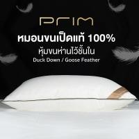 ราคา FN OUTLET PRIM หมอนขนเป็ดแท้ 100% 20x30 นิ้ว (10547572)