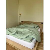 ราคา Topper.paradise Topper รุ่น ความหนา 4 นิ้ว 6 ฟุต สีเขียวมิ้นท์ (10647923)