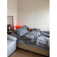 ราคา topper.paradise Topper รุ่นความหนา 4 นิ้ว Set 10 ชิ้น สีเทาเข้มล้วน 3.5 ฟุต (10647884)