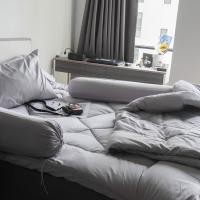 ราคา topper.paradise Topper รุ่นความหนา 4 นิ้ว Set 10 ชิ้น สีเทาอ่อนล้วน 3.5 ฟุต (10647886)