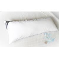 ราคา Noonnon Pillow Noonnon หมอนขนห่านเทียม สีขาว กุ๊นขอบสีฟ้า 20 x 50 นิ้ว ขนห่านเทียม 2200 g. (10833139)