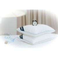 ราคา Noonnon Pillow Noonnon หมอนขนห่านเทียม สีขาว กุ๊นขอบสีฟ้า 20 x 30 นิ้ว หมอนขนห่านเทียม 1300 g. (10833135)
