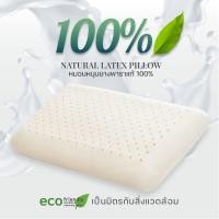 ราคา Darling Mattress ที่นอนดาร์ลิ่ง หมอนหนุนยางพารา พร้อมปลอกหุ้ม ขนาด 40 x 65 x 13 ซม. (10854426)