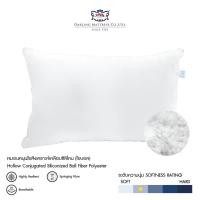 ราคา Darling Mattress ที่นอนดาร์ลิ่ง หมอนหนุนใยบอลเคลือบซิลิโคน ขนาด 19 x 29 นิ้ว (10854409)