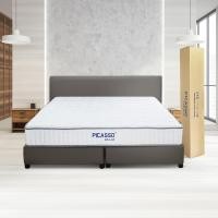 ราคา Picasso Comfort ที่นอนพ็อกเก็ตสปริง + เมมโมรี่โฟม รุ่น LITE-M (Memory Form) ติดตั้ง+จัดส่งฟรี!! [รับประกัน 12 ปี] Single Size (3.5ฟุต) (10908980)