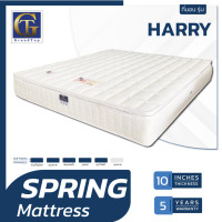 ราคา Grandtop ที่นอนสปริง รุ่น Harry(แฮรี่) ผ้าหนานุ่ม หนา10นิ้ว 5ฟุต (10932400)