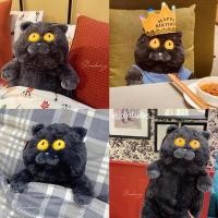 ราคา Pamu Home PPL ตุ๊กตาแมว Nordic Style ตุ๊กตาแมวตาเหลือง สี (10963104)