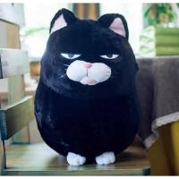 ราคา Pamu Home ตุ๊กตาแมว ตุ๊กตาแก๊งค์แมว ตุ๊กตาแมวญี่ปุน ตุ๊กตาตกแต่งห้อง Japanese cat doll JolieTwins แมวดำหน้าเซ็ง (10963646)