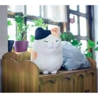 ราคา Pamu Home ตุ๊กตาแมว ตุ๊กตาแก๊งค์แมว ตุ๊กตาแมวญี่ปุน ตุ๊กตาตกแต่งห้อง Japanese cat doll JolieTwins แมวสามสีหน้านิ่ง (10963643)