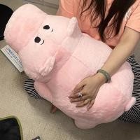 ราคา PP Home ตุ๊กตา ตุ๊กตาหมู Hamm อู๊ดอู๊ดๆ ตุ๊กตาน่ารัก ตุ๊กตาหมูชมพู พร็อบแต่งห้อง Piggy น้องน่ารักมาก ของขวัญ 70 CM (11067770)