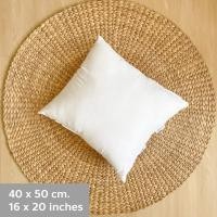 ราคา Solstice Home ไส้หมอนอิง เนื้อนุ่ม ผิวละเอียด - แพ็คสุญญากาศ หุ้มผ้า Micro กันไรฝุ่น ใยบอล เกรด A ขนาด 40/45/50/60 ซม. 40x50 cm / 16x20 in (12098443)