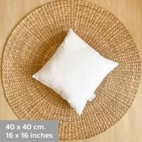 ราคา Solstice Home ไส้หมอนอิง เนื้อนุ่ม ผิวละเอียด - แพ็คสุญญากาศ หุ้มผ้า Micro กันไรฝุ่น ใยบอล เกรด A ขนาด 40/45/50/60 ซม. 40x40 cm / 16x16 in (12098444)