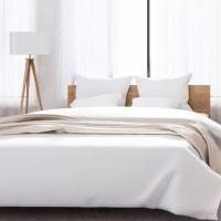 ราคา MAPLE'S ผ้าปูรัดมุม3.5ฟุต 5ฟุต 6ฟุต 8-10 นิ้ว ที่คนเลี้ยงสัตว์ต้องมี กันไรฝุ่น พร้อมผ้านวม ผ้าปูที่นอน ผ้าปูเตียง นวมF+5'(3ชิ้น) 8-10" 10 ขาว Snow (12158607)