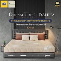 ราคา Satin ที่นอน Dream Tree รุ่น DAHLIA สีน้ำตาล ขนาด 3.5 ฟุต 5 ฟุต และ 6 ฟุต หนา 9 นิ้ว แถมฟรีหมอนหนุน ขนาด 6 ฟุต (12207378)