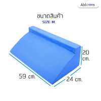 ราคา Abloom หมอนรองขา ทรงสามเหลี่ยม มีซิป รุ่น R Shape Size M 59x20x24 cm. (12283012)