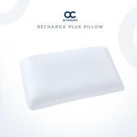 ราคา Acmebell Recharge Plus Pillow หมอนหนุนขนาดใหญ่ หมอนหนุนใบใหญ่ New (12317205)