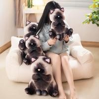 ราคา PP Home ตุ๊กตา แมววิเชียรมาศ ไข่ดำ Siamese ตุ๊กตาแมว น้องน่ารัก กอดถนัดมือ ของขวัญ แมววิเชียรไข่ดำ 50 CM (12308950)