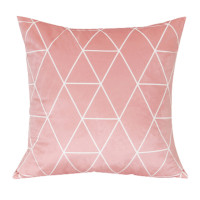 ราคา DDbedroom ปลอกหมอนอิงลายดอกไม้ และเรขาคณิต ขนาด 45x45 ซม. รุ่น CL-04,05,09,10-16,24-25 (ไม่รวมไส้หมอน) 45x45 ซม. CL-16 (12434311)