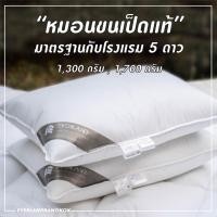 ราคา Everland หมอนขนเป็ดแท้ 100% หมอนเพื่อสุขภาพ กันไรฝุ่น มาตรฐาน หมอนโรงแรม 5 ดาว น้ำหนัก 1300 กรัม (12493966)