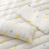 ราคา LOLBABY Sherbet Rayon Bedding Set ชุดเครื่องนอน ผ้าเรยอน สัมผัสเย็นสบาย Pineapple Summer เบาะรองนอน (12625894)