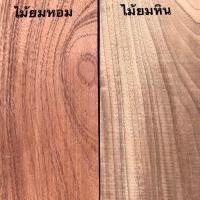 ราคา Touch Wood Loei - โต๊ะทานอาหารไม้จริง 4-6 ที่นั่ง - รุ่น Atlas Prime - โต๊ะกลาง ไม้จริง Middle Table "สินค้าสั่งผลิต" จำปี L190 x W90 x H73cm (12632572)
