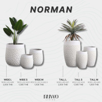ราคา Nuwoliving ไฟเบอร์กลาสซีเมนต์ กระถางขาวลายกลม (ทรงยาว) Norman Tall Norman M (12631206)