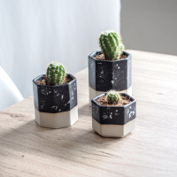 ราคา Ceramine.cei กระถางเซรามิค สไตล์มินิมอล พร้อมจานรอง กระถางแคคตัส กระถางต้นไม้ สไตล์มินิมอล กระถางกระบองเพชร กระถางเซรามิก M สีดำ (10187529)
