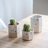 ราคา Ceramine.cei กระถางเซรามิค สไตล์มินิมอล พร้อมจานรอง กระถางแคคตัส กระถางต้นไม้ สไตล์มินิมอล กระถางกระบองเพชร กระถางเซรามิก สีขาว L (10187532)