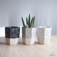 ราคา Ceramine.cei กระถางเซรามิค XL สไตล์มินิมอล พร้อมจานรอง กระถางแคคตัส กระถางต้นไม้ สไตล์มินิมอล กระถางกระบองเพชร ดำ (10187583)