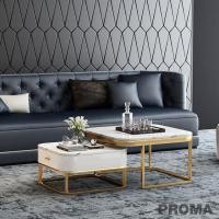 ราคา PROMA โต๊ะกลางโซฟา ท็อปลายหินอ่อน ชุดรวมหินอ่อน ขาว 80 x 80 x 45 cm (10469220)