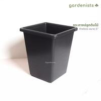ราคา Gardenists กระถางต้นไม้ทรงสูง รุ่น thebox ขนาด 6" (แพ็ค10ใบ) กระถางทรงสูง สีดำ (10512403)