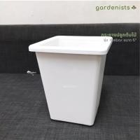 ราคา Gardenists กระถางต้นไม้ทรงสูง รุ่น thebox สีขาว ขนาด 6" (แพ็ค10ใบ) กระถางทรงสูง (10512405)