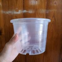 ราคา Pamathegardener กระถางพลาสติกใส 6 นิ้ว กระถางพลาสติก สีใส (10547913)