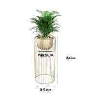 ราคา CT060D020 TROPACL กระถางต้นไม้นอดิก กระถางทรงสูงสีทอง กระถางต้นไม้ ตกแต่งห้อง สวยหรู #กระถางต้นไม้นอดิก #กระถางต้นไม้ 02ทอง สูง60cm. (10595651)