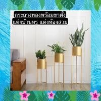 ราคา TS061J005 TROPACL กระถางทองทรงสูง กระถางต้นไม้ กระถางสวยๆ GOLD PLANT POT ทอง (10595684)