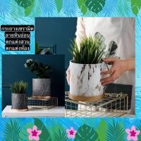 ราคา TS061J002 TROPACL กระถางเซรามิคกระถาง ลายหินอ่อน ฐานสีทอง กระถางต้นไม้ กระถางสวยๆ กระถางดอกไม้ MARBLE CERAMIC PLANT POT ดำ (10595686)