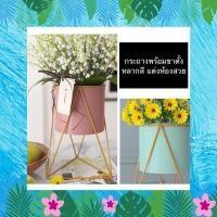 ราคา TS061J012 TROPACL กระถางขาตั้งสามเหลี่ยม ทรงสูง กระถางทรงสูง กระถางต้นไม้ กระถางพร้อมขาเหล็ก PLANT POT กระถางพร้อมขาตั้ง ชมพู (10595678)
