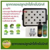 ราคา Farmhugd ชุดทดลองปลูกผักไฮโดรโปนิกส์ ปลูกผักไร้ดิน 18 ช่อง (สำหรับมือใหม่) 40x50x11 cm. ดำ (10858401)
