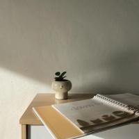 ราคา latisha.official กระถางเซรามิก กระถางต้นไม้จิ๋ว กระถางแคคตัส PP-01 S 2.5" (10889699)