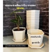 ราคา CK DECOR กระถางต้นไม้พลาสติก กระถางต้นไม้พลาสติก8เหลี่ยม5นิ้วพร้อมจาน (10893403)