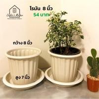 ราคา CK DECOR กระถางต้นไม้พลาสติก กระถางต้นไม้พลาสติกโรมัน8นิ้ว (10893434)