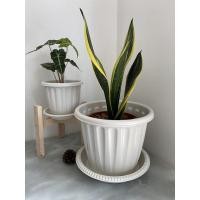 ราคา CK DECOR กระถางต้นไม้พลาสติก กระถางต้นไม้พลาสติกขาวโรมัน10นิ้ว (10893405)
