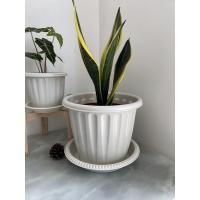 ราคา CK DECOR กระถางต้นไม้พลาสติก กระถางต้นไม้พลาสติกขาวโรมัน12นิ้ว (10893435)