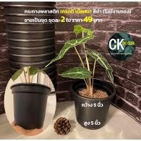 ราคา CK DECOR กระถางต้นไม้พลาสติก กระถางต้นไม้พลาสติกกระถางดำ5นิ้ว2ใบ (10893437)