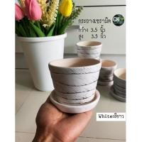 ราคา CK DECOR กระถางต้นไม้เซรามิคแท้ขนาด 3.5 นิ้ว ขาว (10889753)