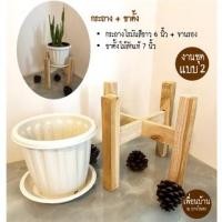 ราคา CK DECOR กระถางต้นไม้พร้อมขาตั้งไม้สักแท้ +จานรอง 6 นิ้ว โรมันพร้อมขาตั้ง (10891512)