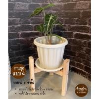 ราคา CK DECOR กระถางต้นไม้พร้อมขาตั้งไม้สักแท้ +จานรอง 6 นิ้ว โรมัน+ขาตั้งไม้พารา (10891516)