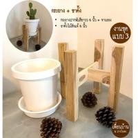 ราคา CK DECOR กระถางต้นไม้พร้อมขาตั้งไม้สักแท้ +จานรอง 6 นิ้ว ปากพับพร้อมขาตั้ง (10891513)