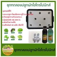 ราคา ชุดทดลองปลูกผักไฮโดรโปนิกส์ ปลูกผักไร้ดิน 8 ช่อง (สำหรับมือใหม่) 40x50x11 cm. ดำ (11020708)