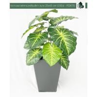 ราคา Pimarn กระถางต้นไม้ กระถางพลาสติก ขนาด 25×45 cm 10นิ้ว (3)ทรงเหลี่ยม สีเทา (10972397)